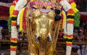 Gaja-Vahanam-Tiruchanur-2023